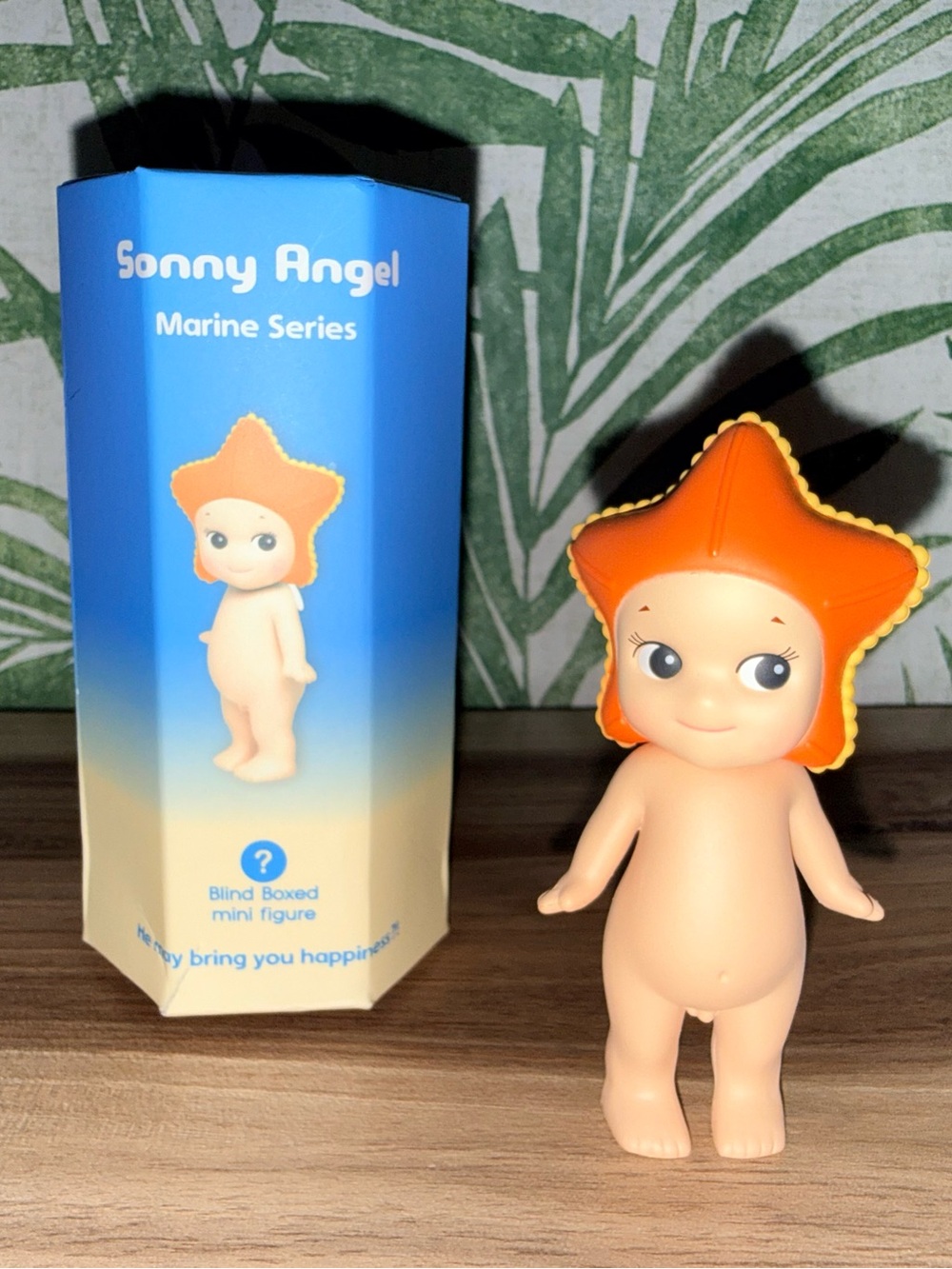 Starfish from Marine Series 2025